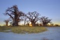 Sunrise at Baines Baobabs