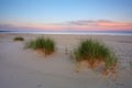 Sunrise on the Baltic Sea coast, sand dunes, beach, Kolobrzeg, Poland. Royalty Free Stock Photo
