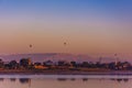 Sunrise at the banks of nile river, egypt. Hot air ballons fly above the valley of Kings in Luxor. Royalty Free Stock Photo