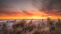 Sunrise at the beach with grass and a dune fence in the foreground Royalty Free Stock Photo