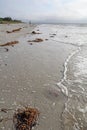 Sunrise on the beach at Sanibel Island Florida vertical