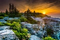 Sunrise at Bear Rocks Preserve, in Dolly Sods Wilderness, Monon