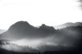 Sunrise in a beautiful mountain of Czech-Saxony Switzerland. Sharp hills increased from foggy background, the fog is orange due to Royalty Free Stock Photo