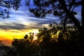 Sunrise beautiful silhouette pine