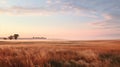Sunrise beautifully illuminates serene prairie Royalty Free Stock Photo