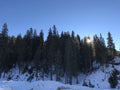 Sunrise behind the mountins and trees