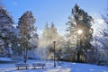 Sunrise behind Snowy Trees in Gorge Waterway Park, Victoria, Vancouver Island, British Columbia Royalty Free Stock Photo