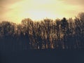 Sunrise behind trees and hill Royalty Free Stock Photo