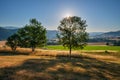 Sunrise behind the trees under Dolne Chvojno mountain