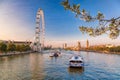 Sunrise with Big Ben, Palace of Westminster, London Eye, Westminster Bridge, River Thames during springtime in London, England, UK