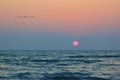 Sunrise and birds, on the Black Sea shore Royalty Free Stock Photo