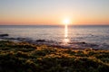 Sunrise at Black Sea, seen from the shore full of algaes Royalty Free Stock Photo