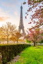 Sunrise in blooming park at Eiffel Tower Royalty Free Stock Photo