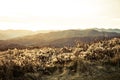 Sunrise in Blue Ridge Mountains in North Carolina. Royalty Free Stock Photo