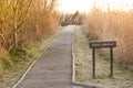 Sunrise boardwalk