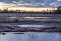 Sunrise in the bog. Icy cold marsh. Frosty ground. Swamp lake and nature.