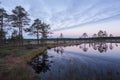 Sunrise in the bog. Icy cold marsh. Frosty ground. Swamp lake and nature. Freeze temperatures in moor. Muskeg natural environment.