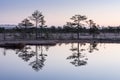 Sunrise in the bog. Icy cold marsh. Frosty ground. Swamp lake and nature. Freeze temperatures in moor. Muskeg natural environment.