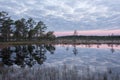 Sunrise in the bog. Icy cold marsh. Frosty ground. Swamp lake and nature. Freeze temperatures in moor. Muskeg natural environment.