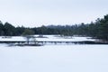 Sunrise in the bog. Icy cold marsh. Frosty ground. Swamp lake and nature. Freeze temperatures in moor. Muskeg natural environment.