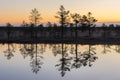 Sunrise in the bog. Icy cold marsh. Frosty ground. Swamp lake and nature. Freeze temperatures in moor. Muskeg natural environment.