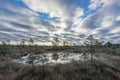 Sunrise in the bog. Icy cold marsh. Frosty ground. Swamp lake and nature. Freeze temperatures in moor. Muskeg natural environment.