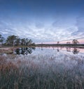 Sunrise in the bog. Icy cold marsh. Frosty ground. Swamp lake and nature. Freeze temperatures in moor. Muskeg natural environment.