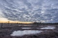 Sunrise in the bog. Icy cold marsh. Frosty ground. Swamp lake and nature. Freeze temperatures in moor. Muskeg natural environment.