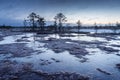 Sunrise in the bog. Icy cold marsh. Frosty ground. Swamp lake and nature. Freeze temperatures in moor. Muskeg natural environment.