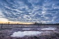 Sunrise in the bog. Icy cold marsh. Frosty ground. Swamp lake and nature.