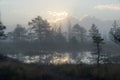 Sunrise in the bog landscape. Misty marsh, lakes nature environment background.