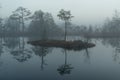 Sunrise in the bog landscape. Misty marsh, lakes nature environment background. Royalty Free Stock Photo