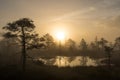 Sunrise in the bog landscape. Misty marsh, lakes nature environment background. Royalty Free Stock Photo