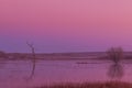 Sunrise at Bosque del Apache NWR Royalty Free Stock Photo