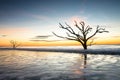 Sunrise at Botany Bay Beach Royalty Free Stock Photo