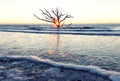 Sunrise at Botany Bay beach