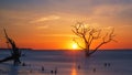 Sunrise at Botany Bay Beach Royalty Free Stock Photo