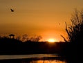 Sunrise at Brazos Bend