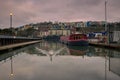 Sunrise at Bristol Marina with a Swan Royalty Free Stock Photo