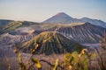 Sunrise at the Bromo Tengger Semeru National Park on the Java Island, Indonesia. View on the Bromo or Gunung Bromo on Royalty Free Stock Photo