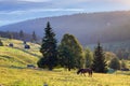 Sunrise in Bucovina