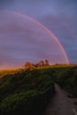 Sunrise in Bushy Beach Scenic Reserve in Oamaru, New Zealand