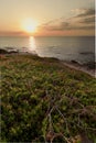 Sunrise at Cabo Cervera in Torrevieja, Alicante province in Spain