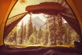 Sunrise at campsite seen from inside tent Royalty Free Stock Photo