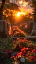 Sunrise casting light over a cemetery with vibrant flowers and an American flag. Royalty Free Stock Photo