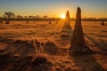 sunrise casting long shadows on termite mounds