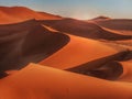 Sunrise casting shadows over the red sand dunes of the Namib Desert, Namibia. Royalty Free Stock Photo