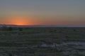 Desert sunrise in Tunisia Royalty Free Stock Photo