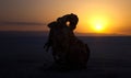 The sunrise at Chott El Jerid, a large salt lake in southern Tunisia Royalty Free Stock Photo