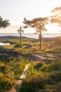 Sunrise of a classic midsommer pole with small tents with campers at the coast line of Roslagen Royalty Free Stock Photo